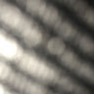 Meet your Posher, Ann